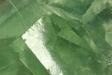 Green Cubic Fluorite Crystals with Phantoms - China #297805-1